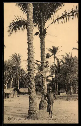 AK Indigène allant faire du vin de palm