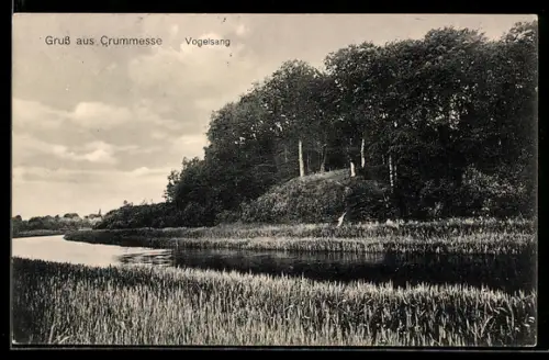 AK Crummesse, Vogelsang