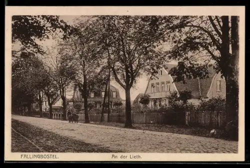 AK Fallingbostel, An der Lieth
