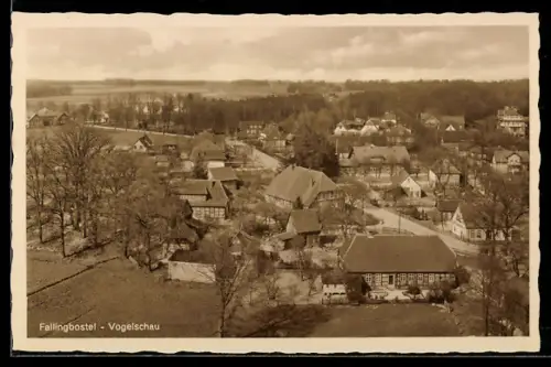 AK Fallingbostel, Vogelschau