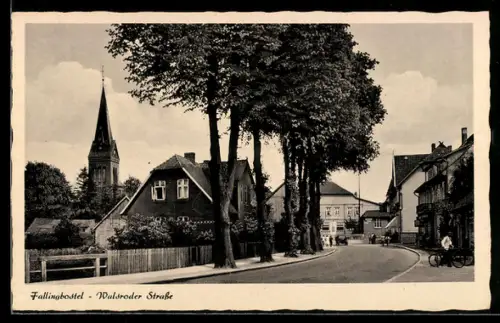 AK Fallingbostel, Walsroder Strasse