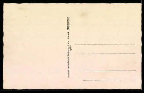 AK Fallingbostel, Walsroder Strasse