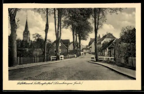 AK Fallingbostel /Lüneburger Heide, Strassenansicht, Kirche