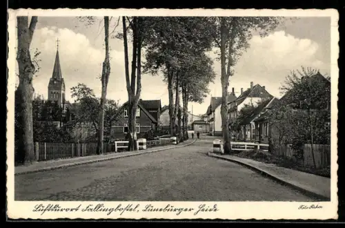 AK Fallingbostel /Lüneburger Heide, Strassenansicht mit Kirche