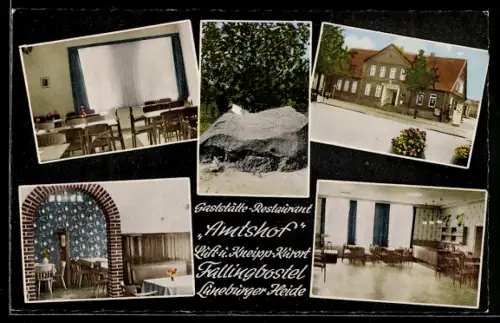 AK Fallingbostel /Lüneburger Heide, Gasthaus Amtshof, Inh. Waltraud Rudy, Innenansichten