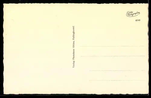 AK Fallingbostel, Vogteistrasse, Postamt