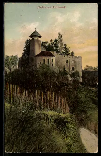 AK Arlesheim, Blick zum Schloss Birseck