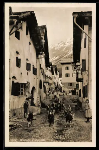 AK Graubünden, Bündner Dorfstrasse, Ziegenherde