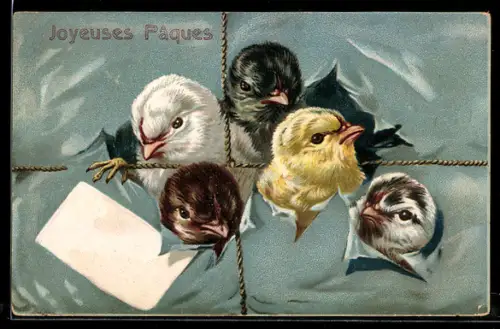 AK Osterküken platzen aus einem Paket, Joyeuses Paques