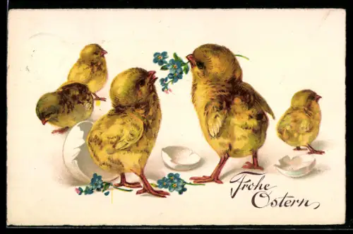 AK Osterküken mit Vergissmeinnicht und Eierschalen
