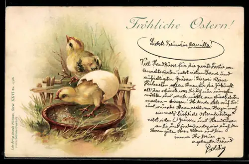 AK Frisch geschlüpfte Osterküken