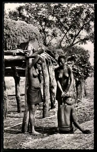 AK A. O. F. Salon de Coiffure, nackte Afrikanerinnen