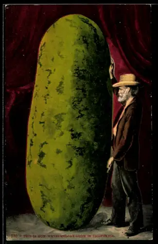 AK Mann mit riesieger Wassermelone aus Kalifornien