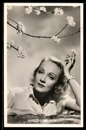 AK Schauspielerin Marlene Dietrich unter einem blühenden Zweig