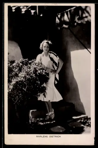 AK Schauspielerin Marlene Dietrich neben einem Strauch