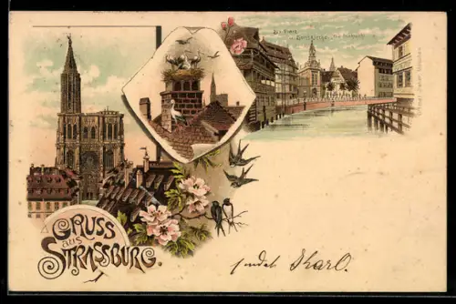 Lithographie Strassburg, Zix-Platz und Zionskirche, Klein-Frankreich, Storchennest