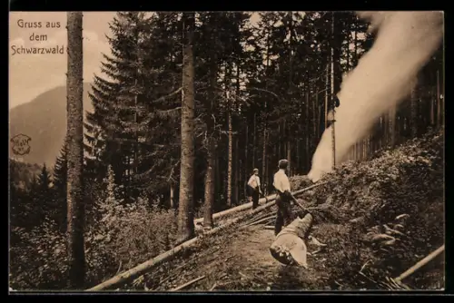 AK Forstwirtschaft im württ. Schwarzwald