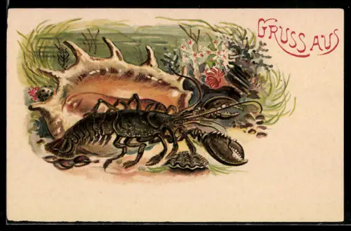 Lithographie Hummer & Muschel auf dem Meeresgrund