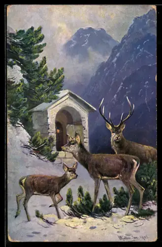 Künstler-AK M. Müller jun.: Rehe in den Bergen