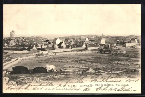 AK Isle-de-Bréhat, Vue générale