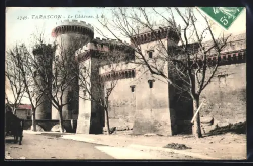 AK Tarascon, Le Château