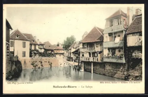 AK Salies-de-Béarn, Le Saleys
