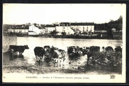 AK Solesmes, Vaches à l`Abreuvoir
