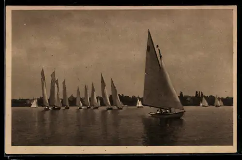 AK Regatta auf dem Bodensee, Segelsport