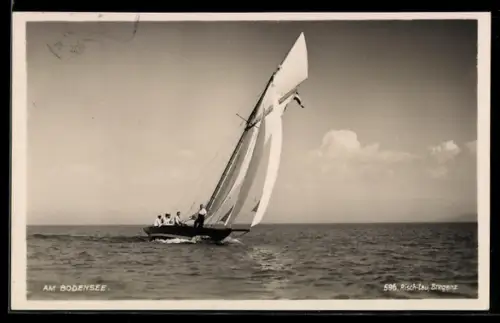 AK Segelyacht auf dem Bodensee segelt hart am Wind