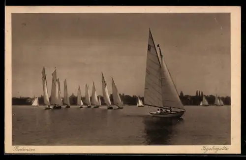 AK Segelregatta auf dem Bodensee, Segelsport