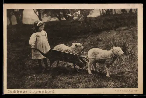 AK Kleines Mädchen mit Schubkarre und zwei Schafen