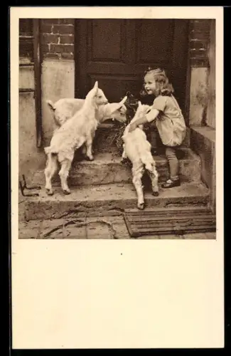 AK Wien, Kleines Kind mit drei jungen Ziegen