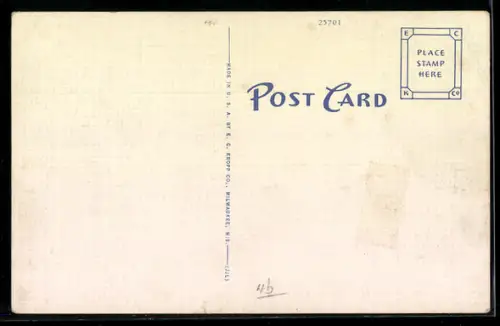 AK Motorized Balloon, Zeppelin