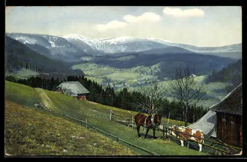 Künstler-AK Photochromie: Bärental /Schwarzwald, Panorama mit Gehöften