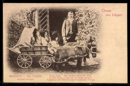 AK Münstedt`s Zigeuner-Truppe, Prinz Asha das kleinste Pferd der Welt