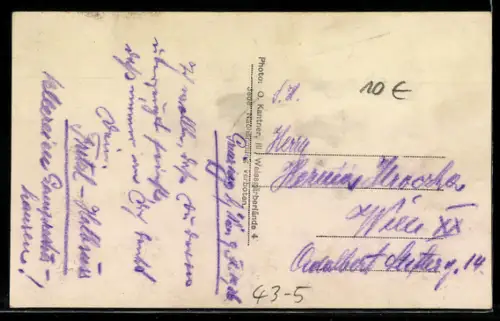 AK Grinzing, Ramses XIII mit Gefolge beim Rockebauer, Fasching