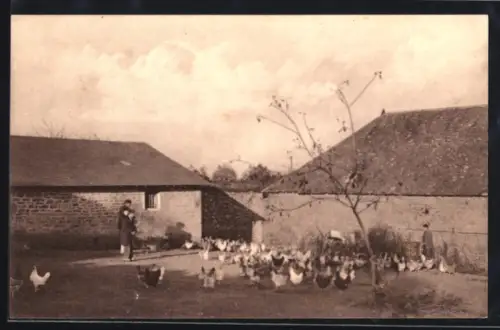 AK Langonnet /Morbihan, Orphelinat Saint-Michel, Un Coin du Poulailler