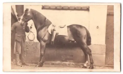 Fotografie Garcin & Martin, Lyon, Rue Imperiale 41, Pferd mit Reiter im Hintergrund