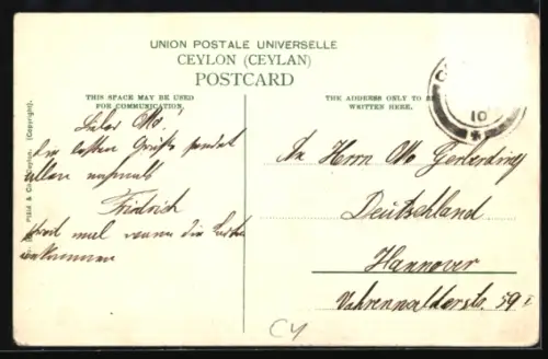 AK Nuwara Eliya, Flusslandschaft mit Ruderboot