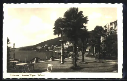 AK Abbazia, Lungo Mare, Palme