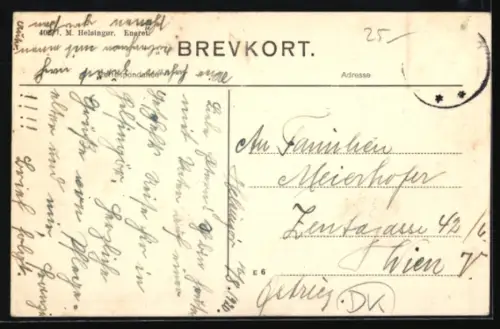 AK Dampfaergen, Panorama