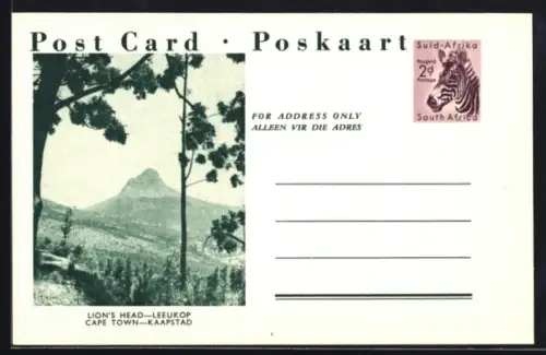 AK Kaapstad, Lion`s Head, Ganzsache