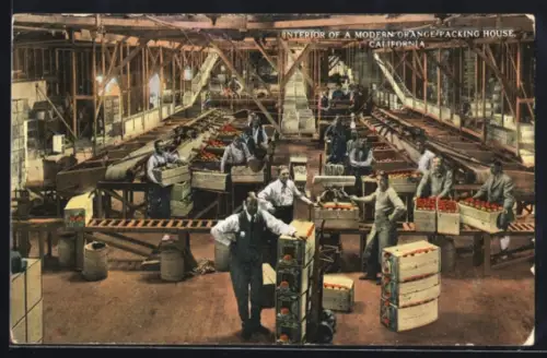 AK Kalifornien, CA, Interior of a modern orange packing house