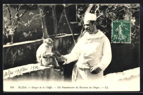 AK Blida, Gorges de la Chiffa, Un Pensionnaire du Ruisseau des Singes