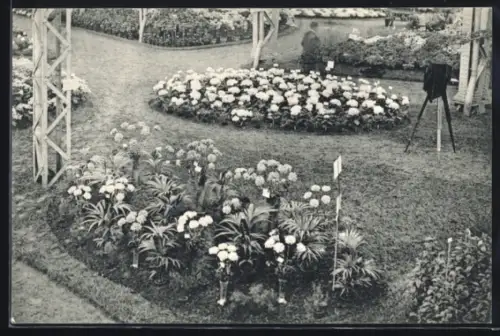 AK Gand, L`Exposition Universelle & Internationale 1913, Floralies Gantoises, Beete mit einem Fotoapparat