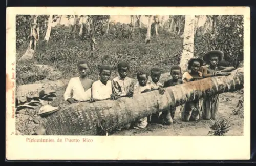 AK Puerto Rico, Pickaninnies