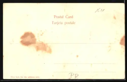 AK Puerto Rico, Pickaninnies