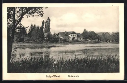 AK Soly-West, Gutsteich, Uferpartie