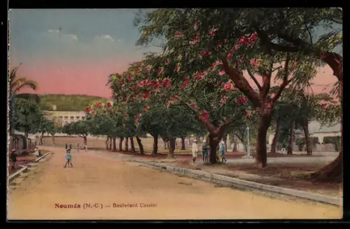 AK Nouméa /N.-C., Boulevard Cassini