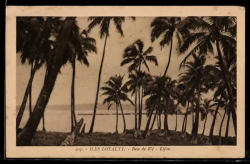 AK Iles Loyalty, Baie de Wé-Lifou